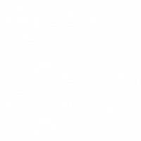 vip-village-authorized-2018_white vip-village-authorized-2018_white