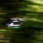 F1: Hamilton puts in blistering lap to take Hungarian Grand Prix pole