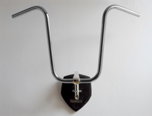 bicycletaxidermy
